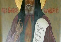 Преподобный Феодор Санаксарский