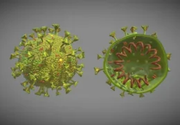 Истраживачи направили ХИБРИДНИ ВИРУС који избегава имуни систем