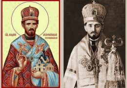 Святитель Мардарий (Ускокович) +видео