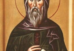 Cв.Иоанникий Девичский (+видео)